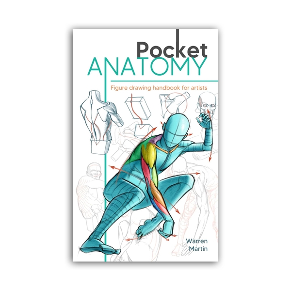 Pocket Anatomy