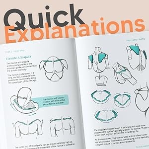 Pocket Anatomy