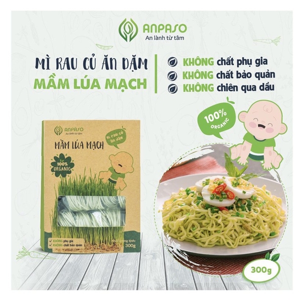 Mì ăn dặm hữu cơ cho bé mầm lúa mạch Organic Anpaso 300gr/120gr