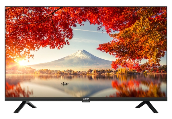 TIVI QLED ASHER 4K UHD 65INCH A-65GQ13600