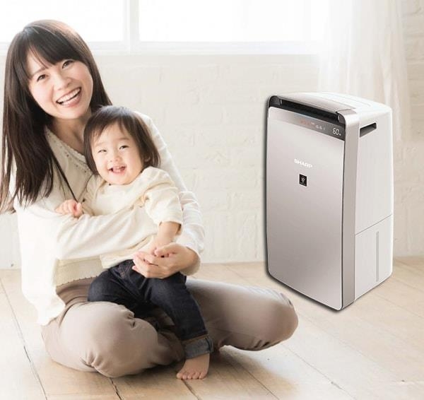 Máy lọc không khi kết hợp hút ẩm Sharp DW-J27FV-S