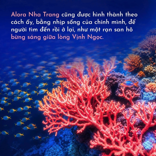 Kiến Trúc San Hô Ngày Và Đêm Tại Vịnh Ngọc | Alora Nha Trang - Alissa Hera Land