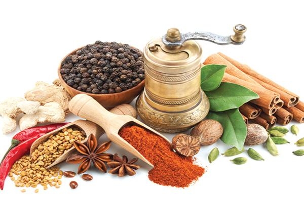 Bảo quản dược liệu bằng kho lạnh
