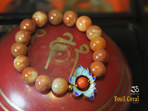 MALA ĐEO TAY SAN HÔ ĐỎ HOÁ THẠCH