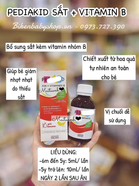 Vitamin PediaKid Sắt & Vitamin B hàng nội địa Pháp 125ml