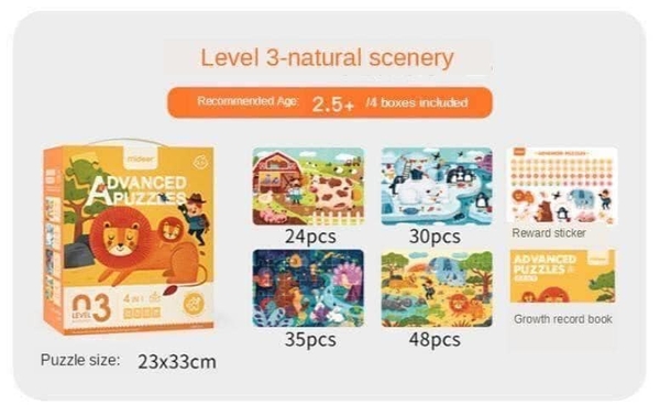 ADVANCE PUZZLE LEVER 03