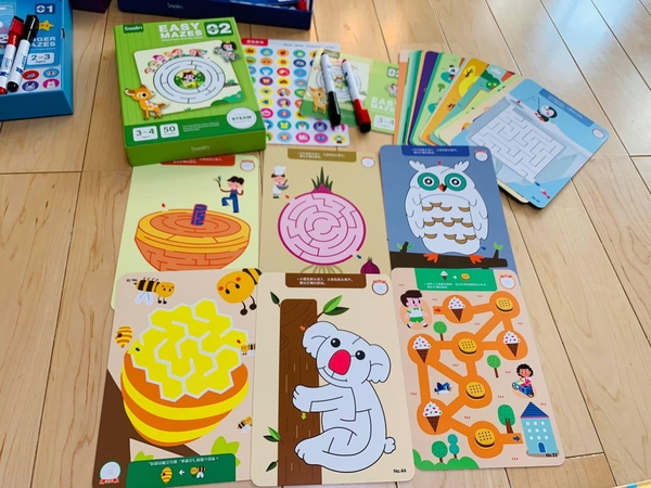 Bộ thẻ mê cung viết xóa - Lever 4