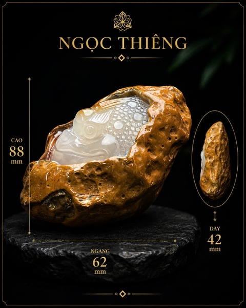 NT1419 Thiềm thừ nguyên thạch