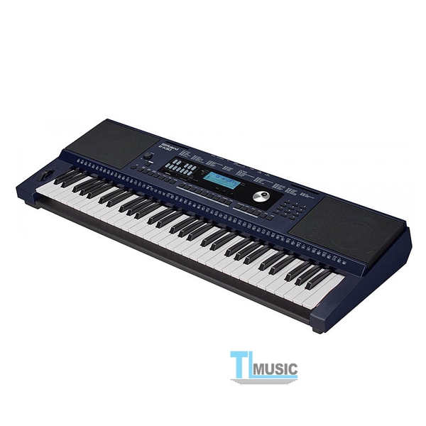 dan-organ-roland-e-x30