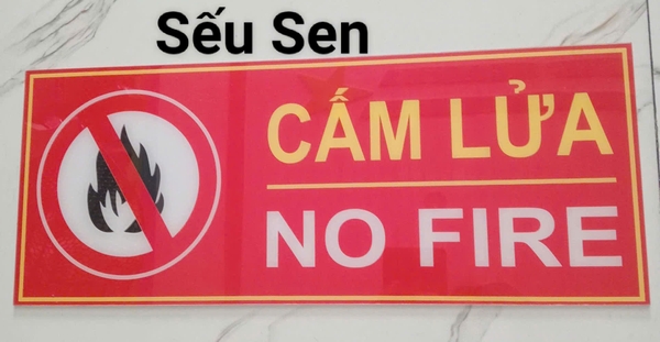 cam-lua-mica