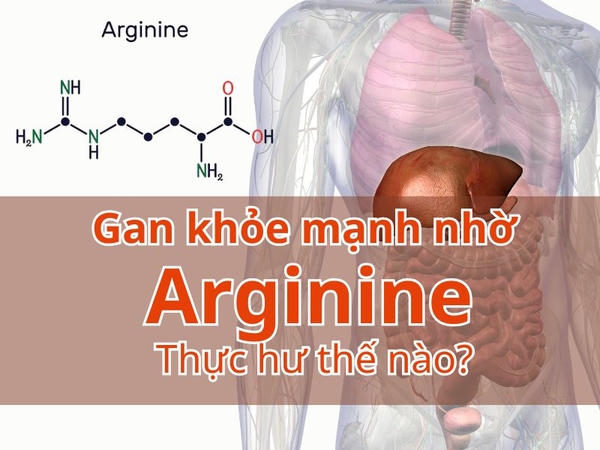 Gan khỏe mạnh nhờ Arginine: Thực hư thế nào?