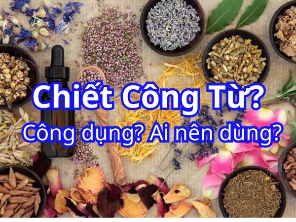 Chiết Công Từ - Tinh Hoa Y Học Cổ Truyền Cho Sức Khỏe Hiện Đại