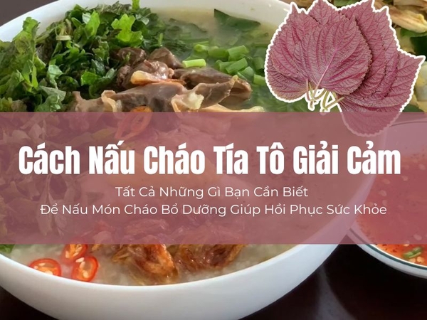 Cách Nấu Cháo Tía Tô Giải Cảm – Tất Cả Những Gì Bạn Cần Biết Để Nấu Món Cháo Bổ Dưỡng Giúp Hồi Phục Sức Khỏe