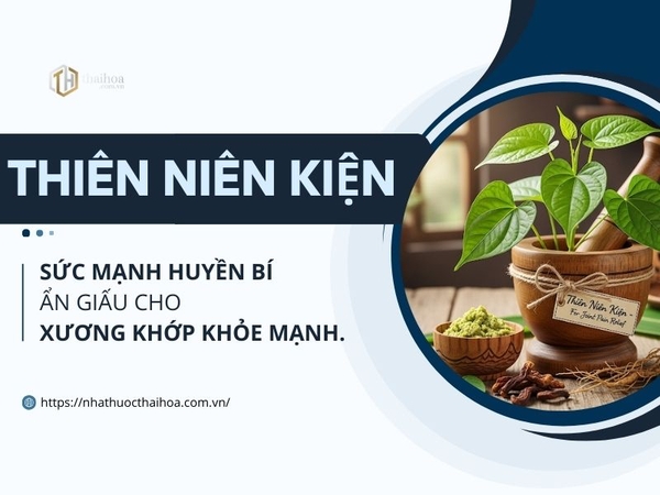 Thiên Niên Kiện Có Tác Dụng Giảm Đau Nhức Xương Khớp?