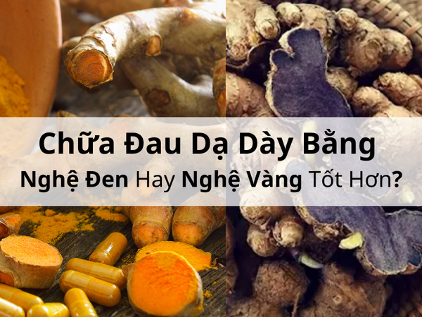 Chữa Đau Dạ Dày Bằng Nghệ Đen Hay Nghệ Vàng Tốt Hơn?