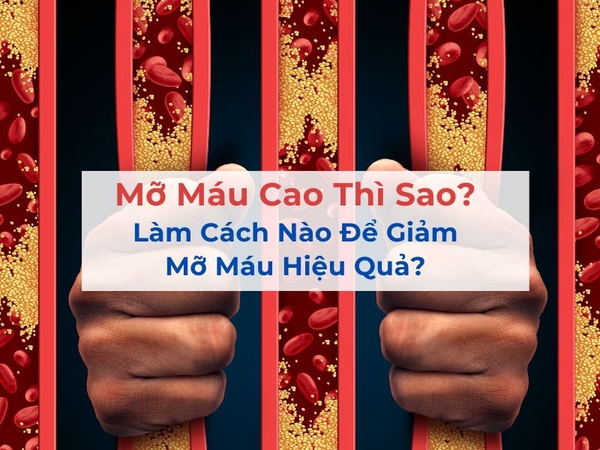 Mỡ Máu Cao Thì Sao? Làm Cách Nào Để Giảm Mỡ Máu Hiệu Quả?
