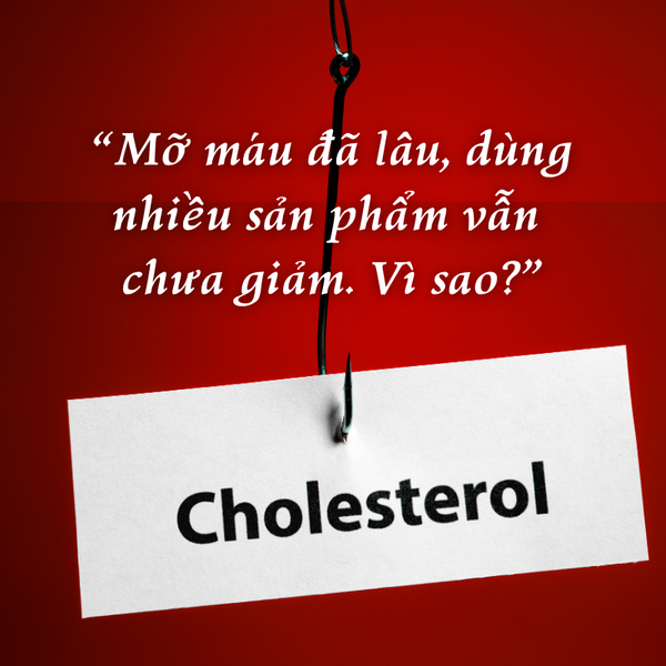 Giải Đáp 3 Câu Hỏi Thường Gặp Về Bệnh Mỡ Máu