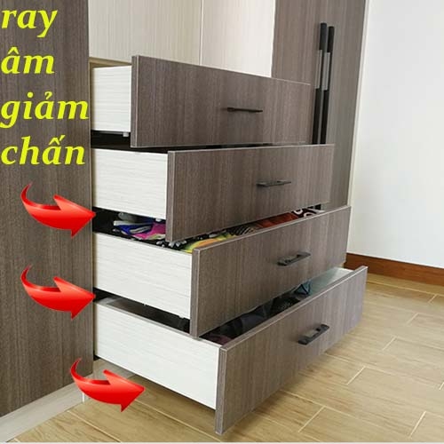 Thương Hiệu Ray Âm Giảm Chấn Nào Cao Cấp Nhất Hiện Nay