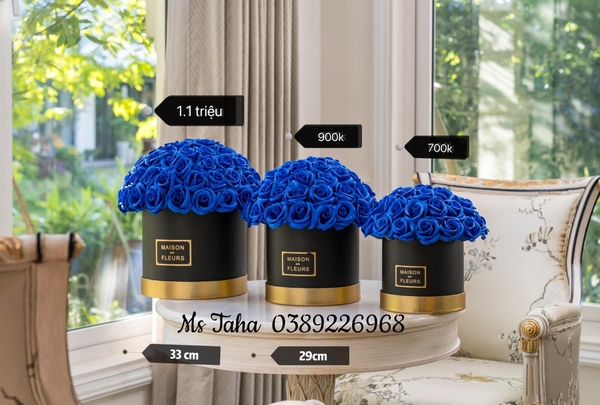 hop-hinh-tru-1-1-xanh-navy