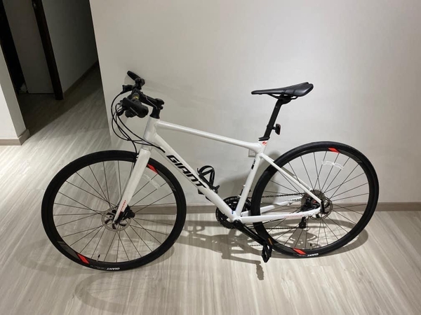 GIANT FASTROAD SL1 2019 Hanoi bike shop