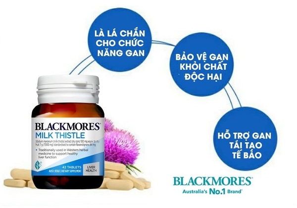 Milk Thistle Blackmores Làm mát gan, tăng khả năng đào thải độc tố của gan