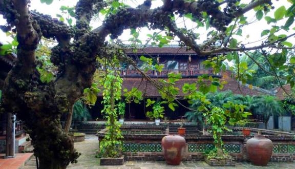 Top 68 Villa Homestay Ba Vì giá rẻ cực đẹp