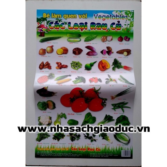Poster Tranh mẫu giáo theo chủ đề - Các loại rau củ | Nhà sách Giáo dục ...