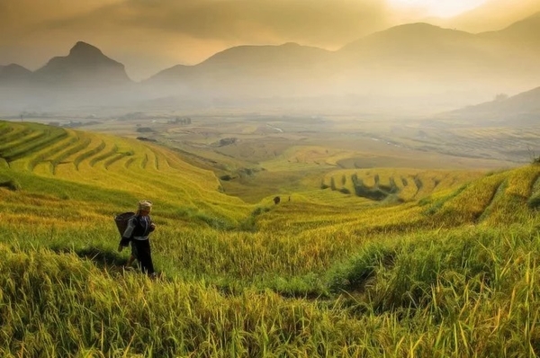 Tour Du Lịch Trải Nghiệm Tú Lệ