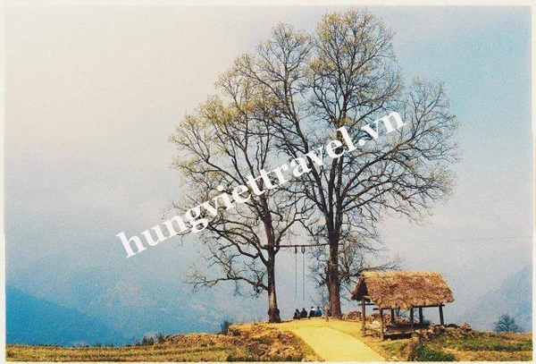 Hà Nội - Mường Hum - Y Tý