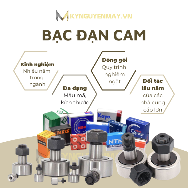 Bạc đạn cam