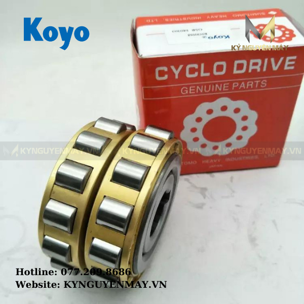 Bạc đạn lệch tâm KOYO