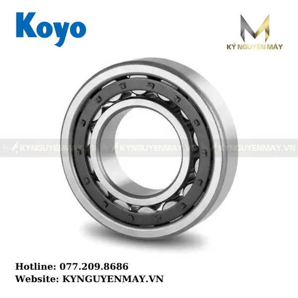 Bạc đạn đũa NU 2205
