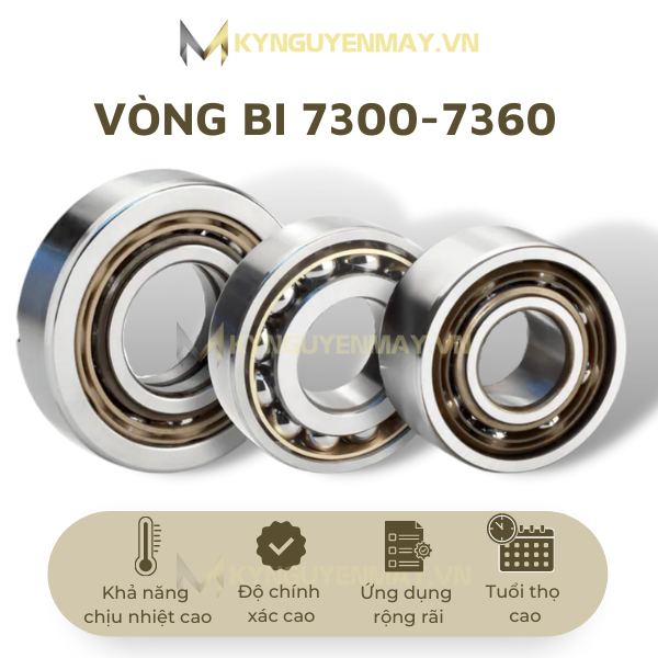 Vòng bi 7300 - 7360