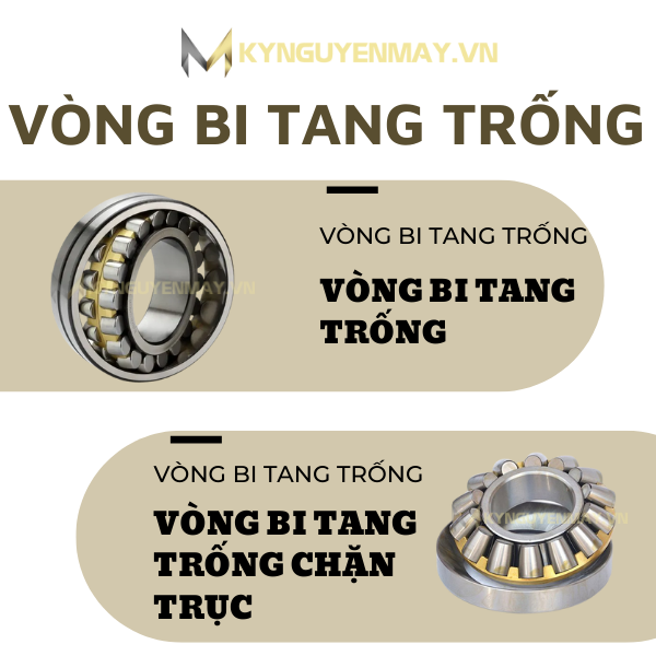 Vòng bi - bạc đạn tang trống