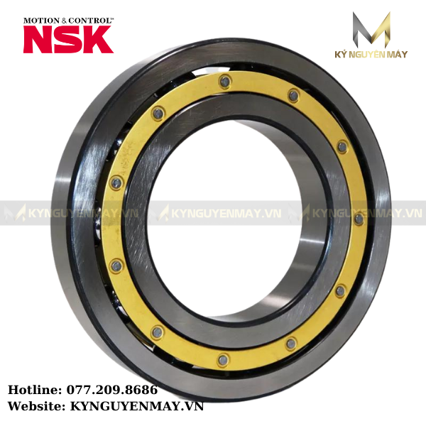 Vòng Bi Chịu Nhiệt NSK