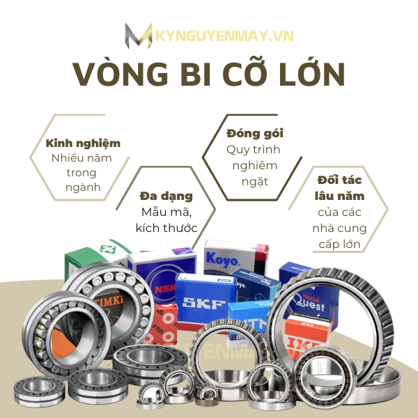 Vòng bi cỡ lớn - Bạc đạn lớn