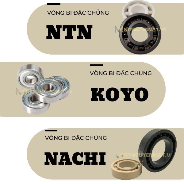 Vòng bi đặc chủng