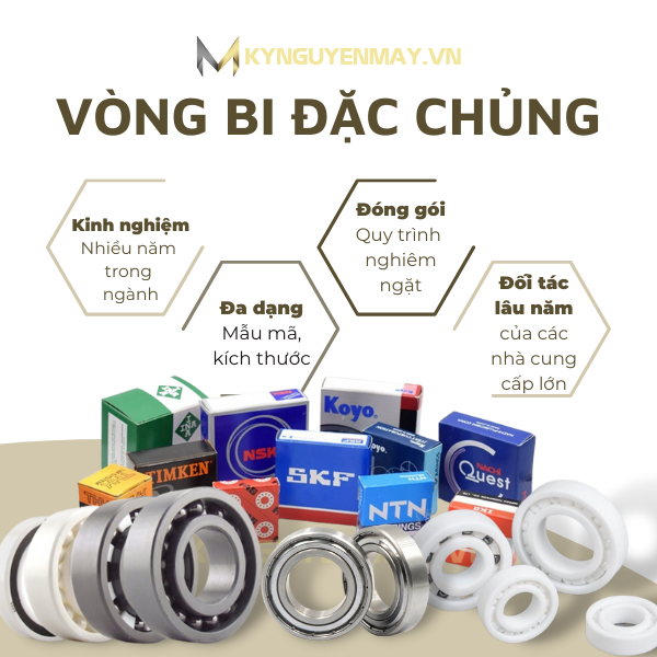 Vòng bi đặc chủng