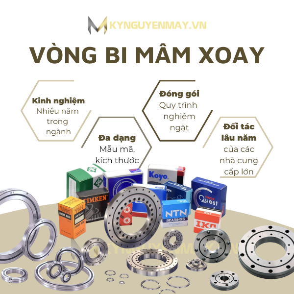 Vòng bi mâm xoay