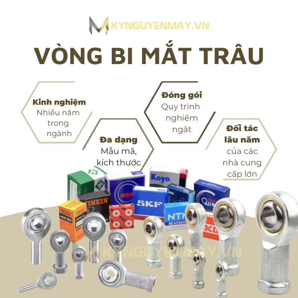 Vòng bi mắt trâu