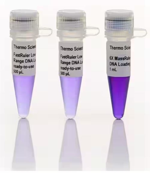 FastRuler DNA Ladders | CÔNG TY CỔ PHẦN KỸ THUẬT VÀ SINH HỌC ỨNG DỤNG ...