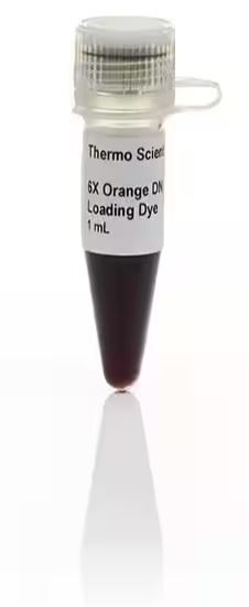 Loading dyes - Dung dịch nạp mẫu | CÔNG TY CỔ PHẦN KỸ THUẬT VÀ SINH HỌC ...