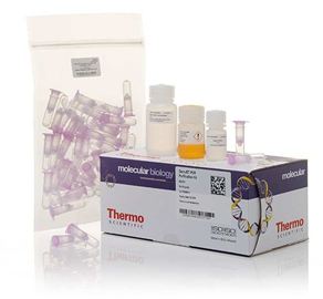 GeneJET DNA Fragment Purification Kits | CÔNG TY CỔ PHẦN KỸ THUẬT VÀ ...
