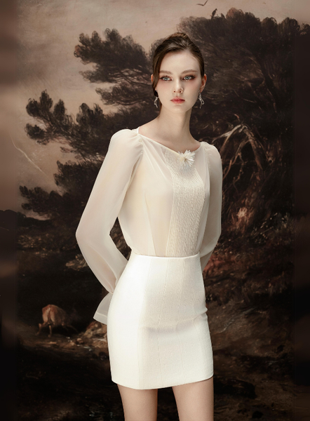 Short Silk Skirt