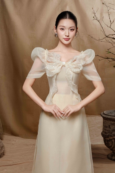 Velvet Ao Dai with Crystal Beadings