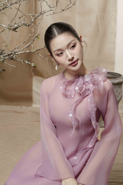 Organza Silk Ao Dai