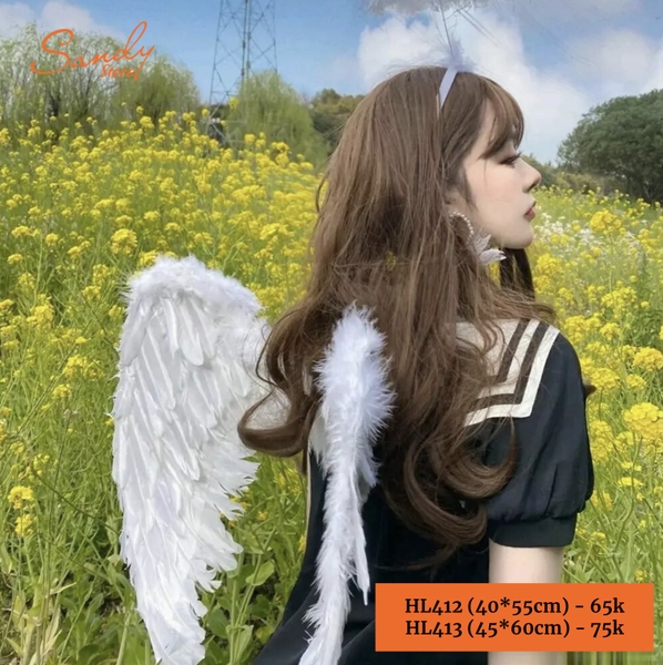 hl413-canh-long-trang-lon-45-60cm