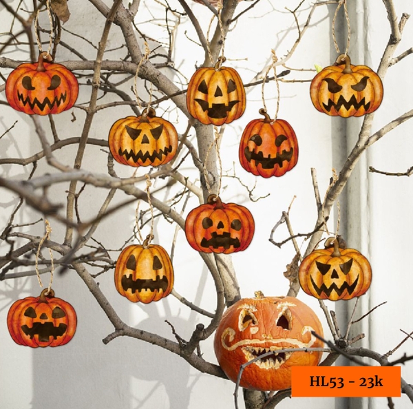 hl53-tag-treo-9-trai-bi