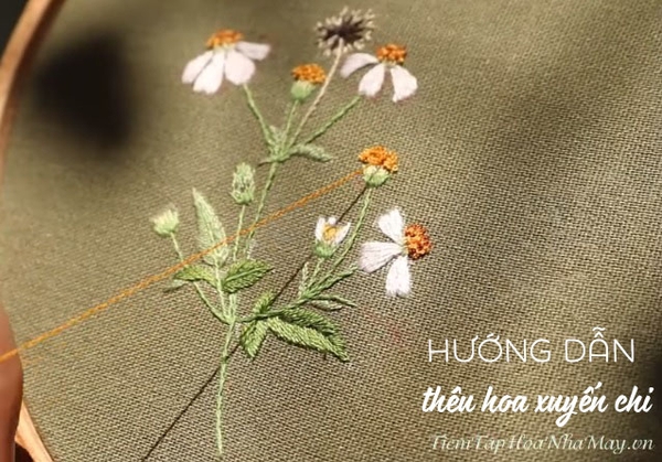 Học thêu cơ bản: Hướng dẫn thêu hoa xuyến chi (có mẫu in)