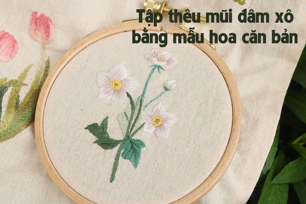 Tập thêu mũi đâm xô bằng mẫu hoa căn bản (có mẫu in)